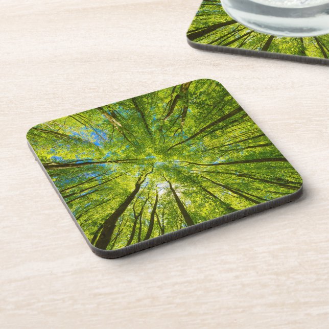 Blick durch grüne Blätter Getränkeuntersetzer (Linke Seite)