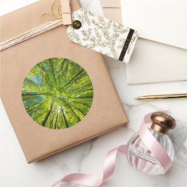 Blick durch grüne Blätter Runder Aufkleber