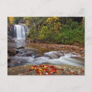 Blick Glass Falls Pisgah National Forest Postkarte