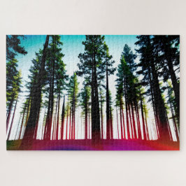 Blick hinauf in einen Wald mit hohen Bäumen mit Ro
