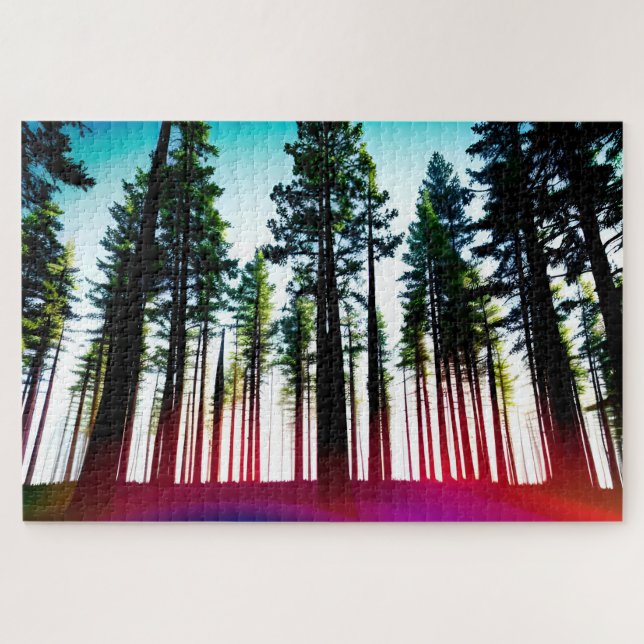 Blick hinauf in einen Wald mit hohen Bäumen mit Ro (Horizontal)