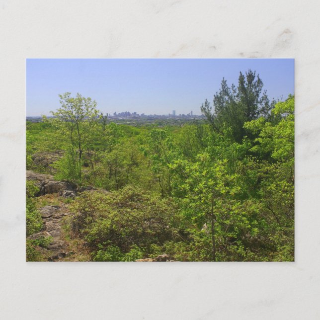 Blick nach Boston vom Middlesex Fells Rock Circuit Postkarte (Vorderseite)