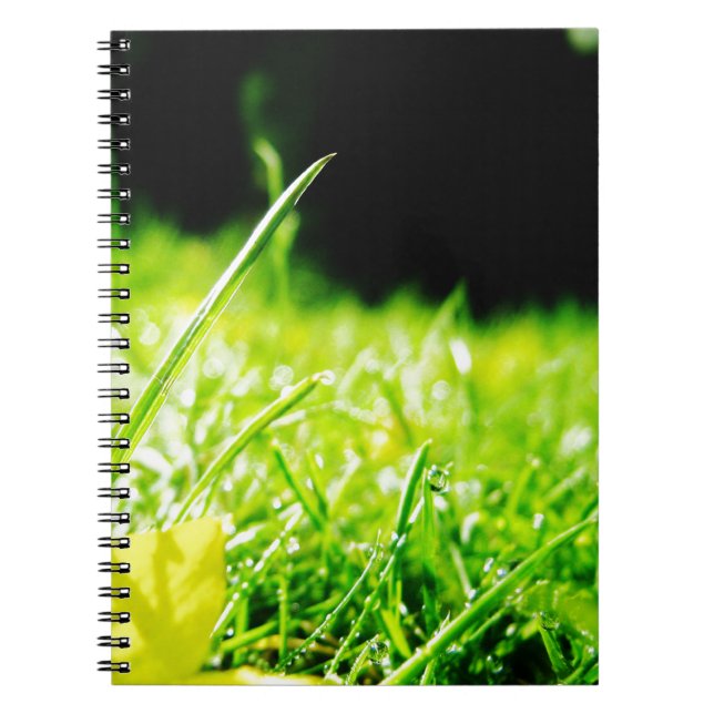 Blick Notizblock (Vorderseite)