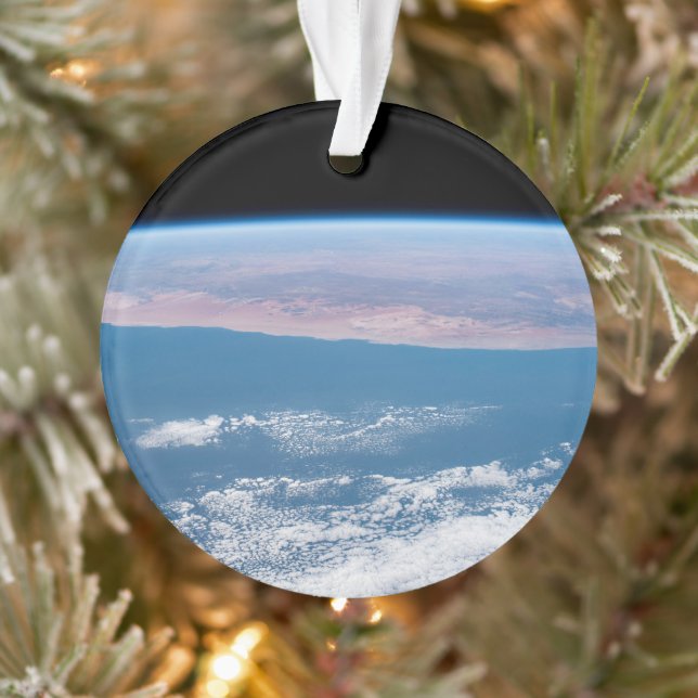Blick über die Südwestküste Afrikas. Ornament (Baum)