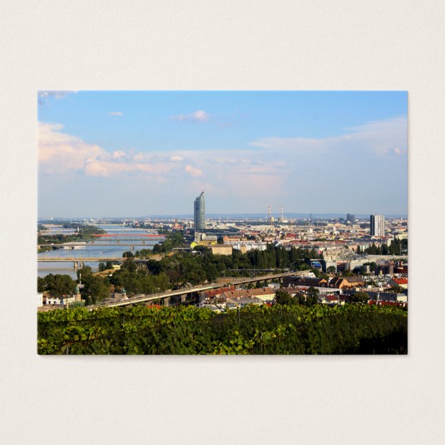 Blick über Wien (Vorderseite)
