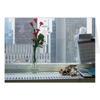 Blick vom 12x18 meines Zahnarztes