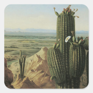 Blick vom Maricopa-Berg in der Nähe des Rio Gila v Quadratischer Aufkleber