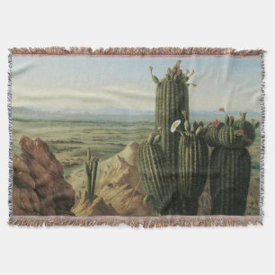 Blick vom Maricopa Mountain bei Rio Gila von Pratt Decke