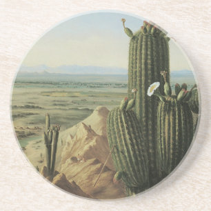 Blick vom Maricopa Mountain bei Rio Gila von Pratt Getränkeuntersetzer