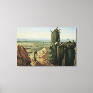 Blick vom Maricopa Mountain bei Rio Gila von Pratt Leinwanddruck