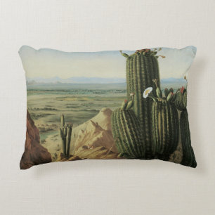 Blick vom Maricopa Mountain bei Rio Gila von Pratt Zierkissen