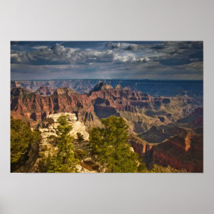 Blick vom North Rim Visitor Center - Grand Poster