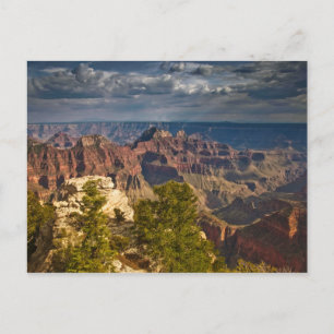 Blick vom North Rim Visitor Center - Grand Postkarte