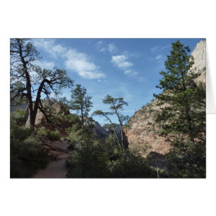 Blick vom Scout Lookout im Zion-Nationalpark