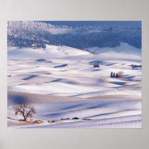 Blick vom Steptoe Butte auf rollende Hügel bedeckt Poster