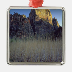 Blick vom Virgin River Überschwemmungsgebiet, Zion Silbernes Ornament