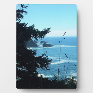 Blick von Hart's Cove, Oregon-Küste Fotoplatte