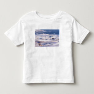 Blick von Steptoe Butte von Hügeln überdacht Kleinkind T-shirt
