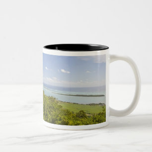 Blickwinkel in der Nähe von Grand Riviere Noire, S Zweifarbige Tasse