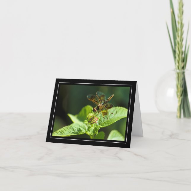 Blindanmerkarte für Dragonfly Karte (Vorderseite)