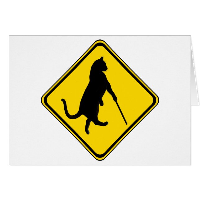 Blinde Katzen überqueren! (Vorderseite (Horizontal))