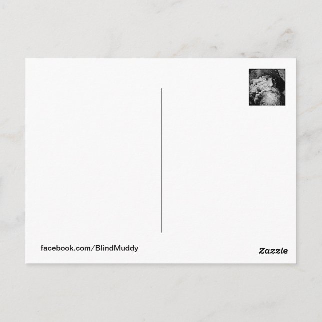 Blinde Muddy Visionen #2 Postkarte (Rückseite)