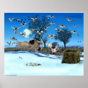 Blindes Duck Poster