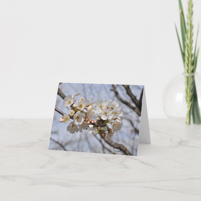 Blindfarbenkarte Karte (Vorderseite)