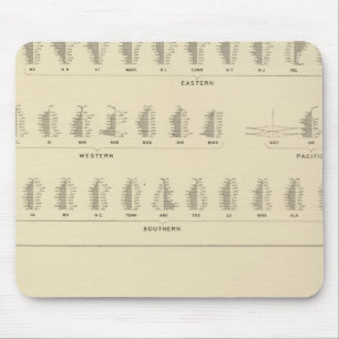 Blindheit, Statistischer US-Lithograph Mousepad