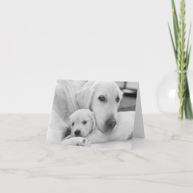 Blindkarte Dankeskarte (Vorderseite)