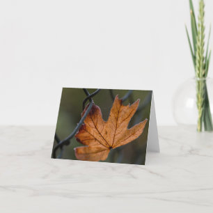 Blindvergrösserkarte für den Herbstleaf Karte