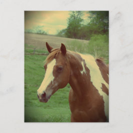 Blinkend Vintag Postkarte