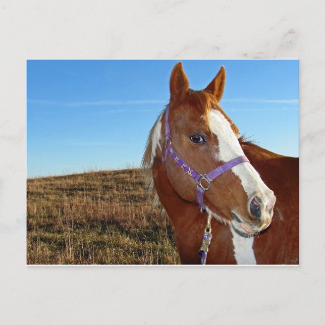 Blinkisch in Nebraka Postkarte (Vorderseite)