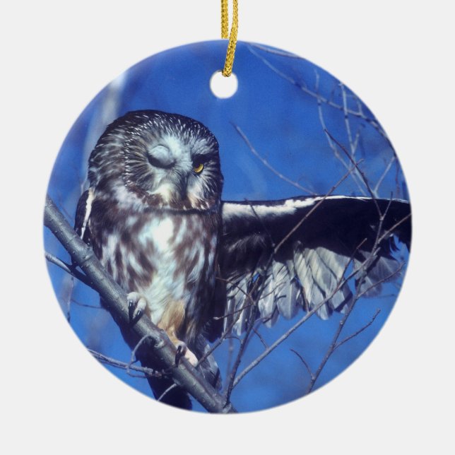 Blinzeln der Eule Keramik Ornament (Vorne)