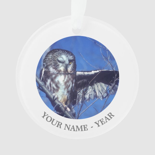 Blinzeln der Eule Ornament (Vorderseite)