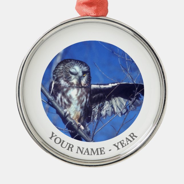 Blinzeln der Eule Silbernes Ornament (Vorne)