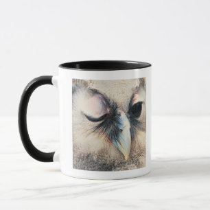 Blinzeln der Eule Tasse
