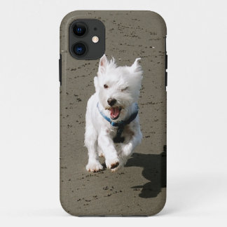 Blinzeln des Westie Telefon-Kastens Case-Mate iPhone Hülle