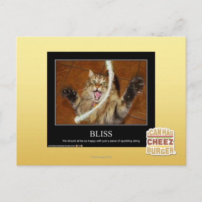 Bliss Postkarte (Vorderseite)