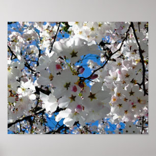 Blisses Blütenposter Poster