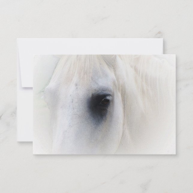 Blisses Pferd (Vorderseite)
