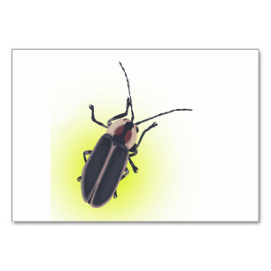 Blitzfehler, Firefly, Insektenlesen Tischnummer