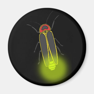 Blitzwanze beleuchtet magnet