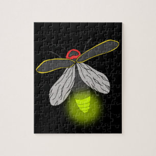 Blitzwanzenflug beleuchtet