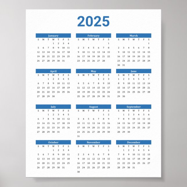 Bliue and White 2025 Year at a Glance Calance Poster (Vorne)