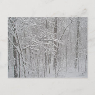 Blizzard im Februar 2010 Postkarte
