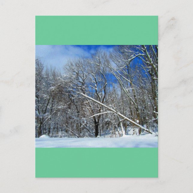 Blizzard Trees Oil Postkarte (Vorderseite)