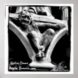 blk whitegargoyle poster Notre-Dame Paris, France