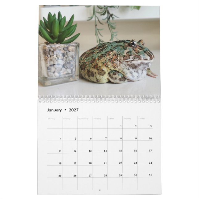 Blobbi Pacman Frosch Kalender (Jan 2027)