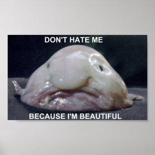 blobfish1 poster